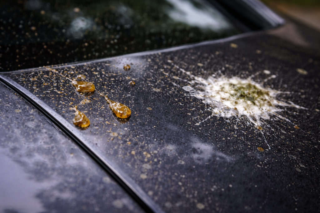 Elimination taches sur peinture automobile - Precious Cars